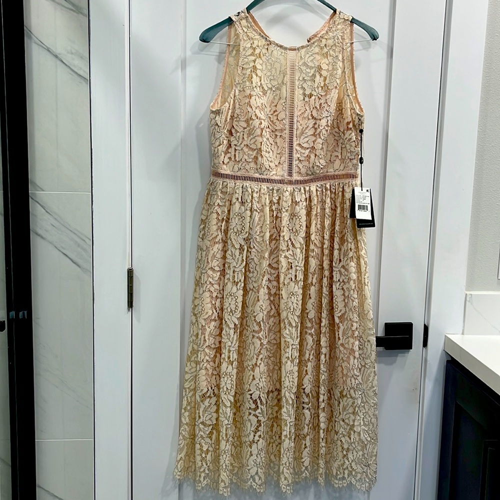 Brand New Women’s Adrianna Papell Dress